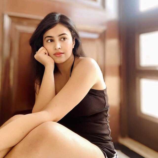 Begin New Associations with Mohali Escorts